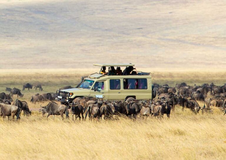 Luxury safari drive across Masai Mara plains