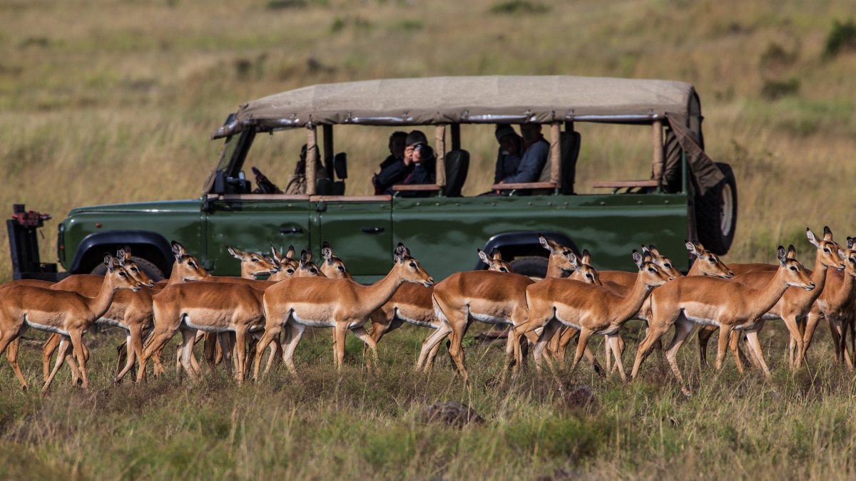 Photographer using a long lens from a safari vehicle at sunrise.
